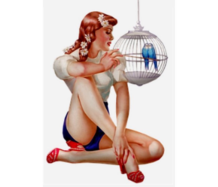 Pin Up Girls Retro Vintage Fashion Woman Pin-Up